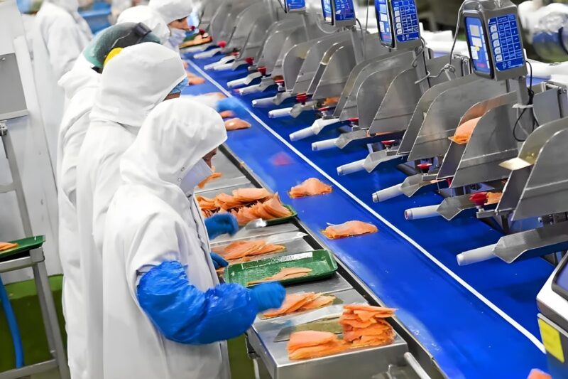 Un vent d’innovation souffle sur Quimper : Petit Navire annonce un investissement de 18 M€