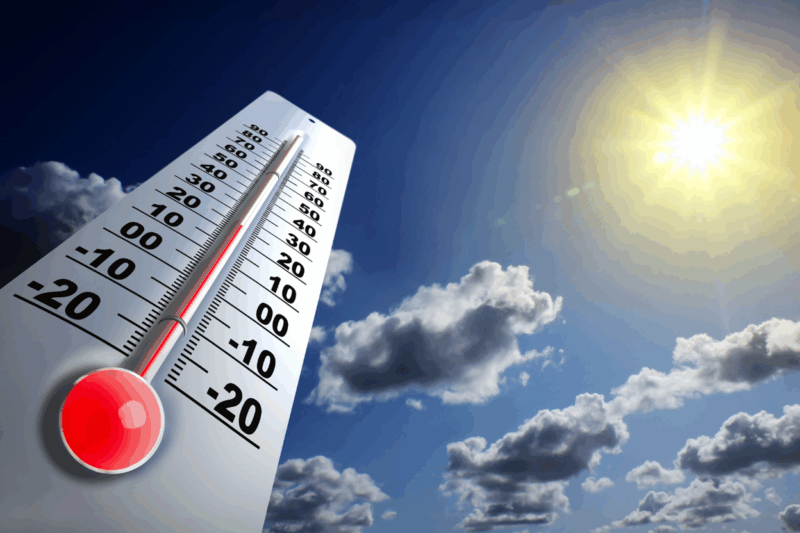 Le commerce face à la canicule : adaptations et opportunités commerciales