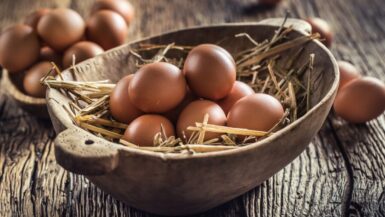 Entre pénurie et progrès : le marché des œufs sous haute pression